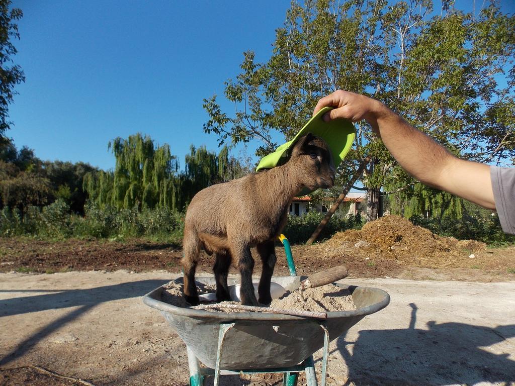 Agriturismo Le Tagliate 우기아노 라 치에사 외부 사진
