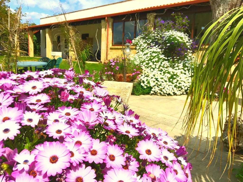 Agriturismo Le Tagliate 우기아노 라 치에사 외부 사진